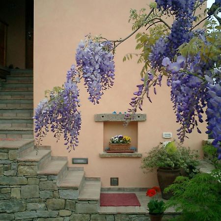 산 도르리고 델라 발레 Il Glicine B&B 외부 사진