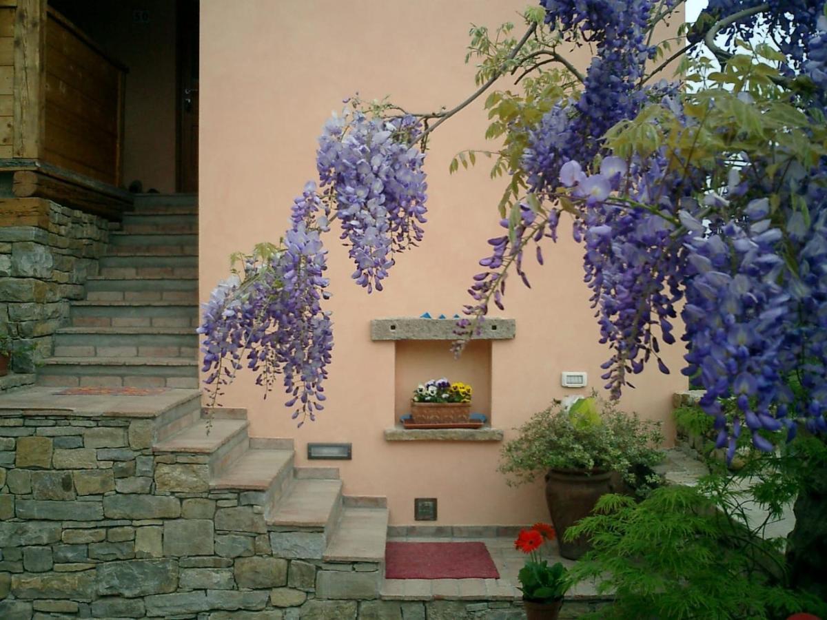 산 도르리고 델라 발레 Il Glicine B&B 외부 사진